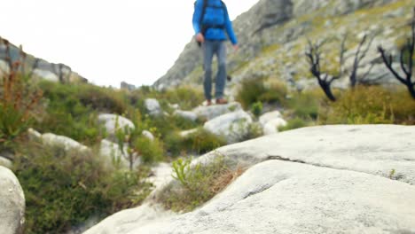 excursionista masculino caminando con mochila en el campo 4k