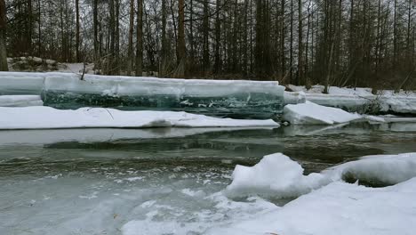 río sin congelar en el telón de fondo de un bosque sombrío