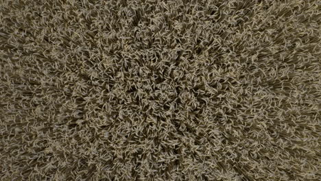 aerial view of a ripe wheat field