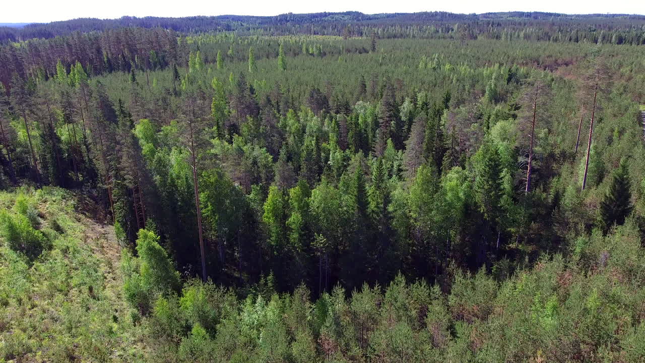Ilmakuvaa rehevästä vihreästä suomalaisesta havumetsästä muutamine koivuineen.