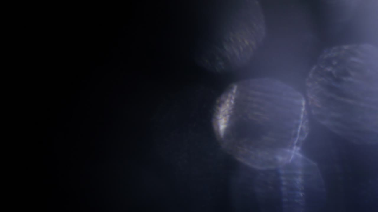 Effetto luce bokeh in movimento su sfondo scuro