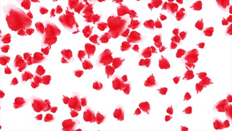 red rose petals background