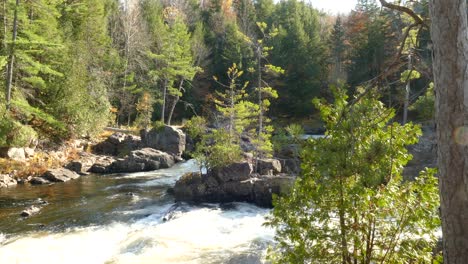 beautiful landscape of a river making a turn in an autumn forest in canada