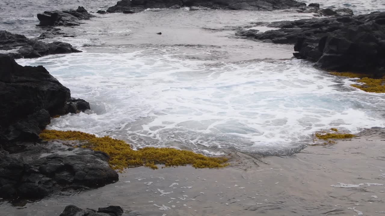 Medium shot of the tide rising and falling over a coral reef