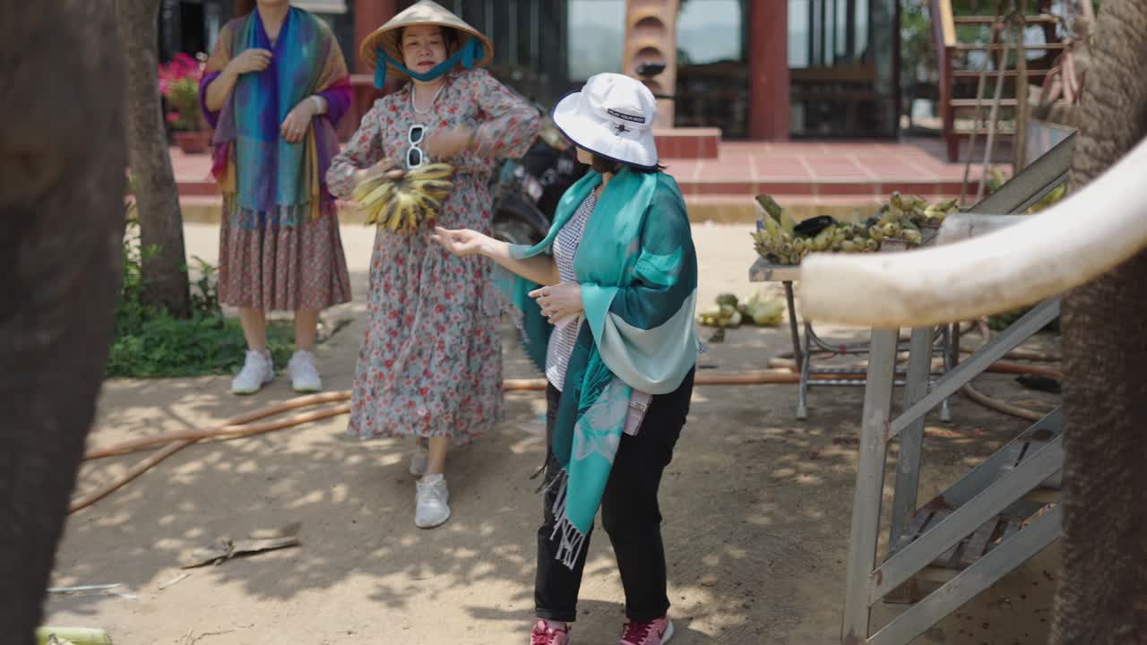 Tourists interacting with elephants
