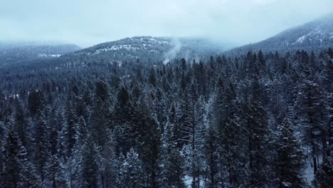 Drone-Disparó-Sobre-El-Bosque-De-Invierno-Con-Humeantes-Aguas-Termales-Naturales-En-El-Fondo