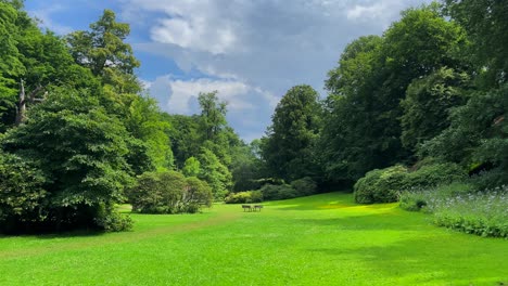 zielony rajski park na ziemi