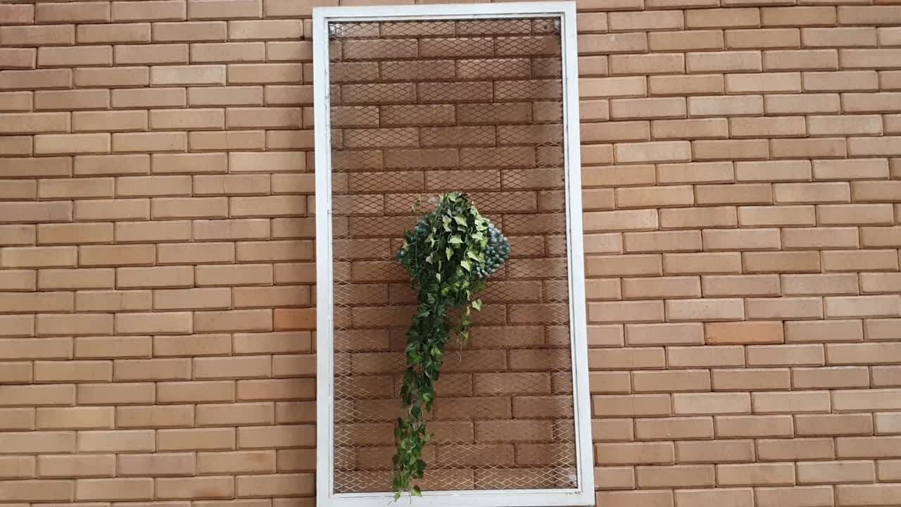 Brick and flower wall background video with copy space area. file 5