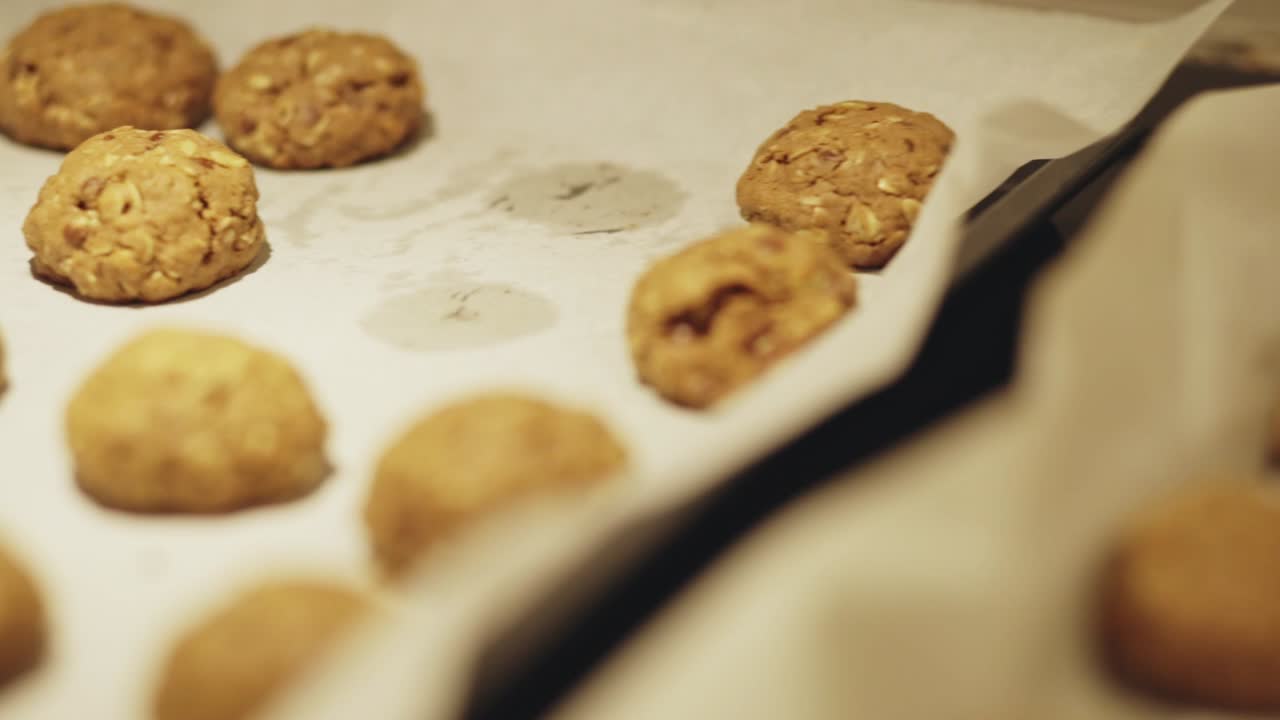 Closeup of Homemade Oatmeal Cookies In The Baking Tray With Parchment Paper. - handheld shot