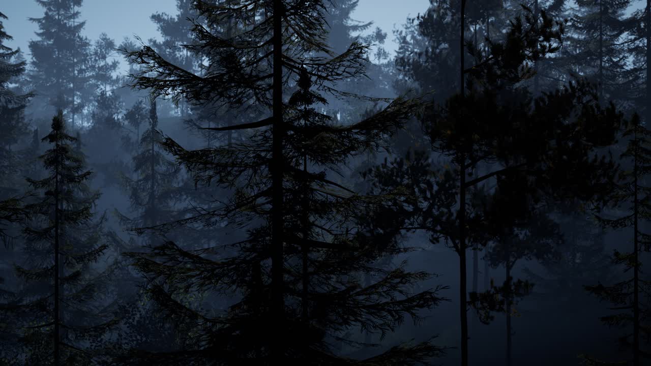 foresta nordica nebbiosa al mattino presto con nebbia