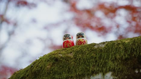 closeup of two daruma dolls on mossy tree with autumn background, osaka japan