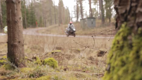 racking focus between mossy tree trunk and superbike rider driving motorcycle on rural road