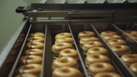 donuts on a conveyor belt in a factory