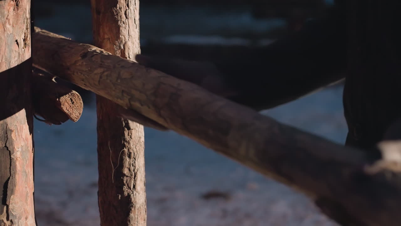 정확한 수동 설치, 숙련공이 농촌 환경에서 나무 울타리 부품을 정확하게 고정합니다. 자세한 검사 결과 숙련공이 농장 마당에서 나무 레일을 기둥에 부착하는 모습이 보입니다.