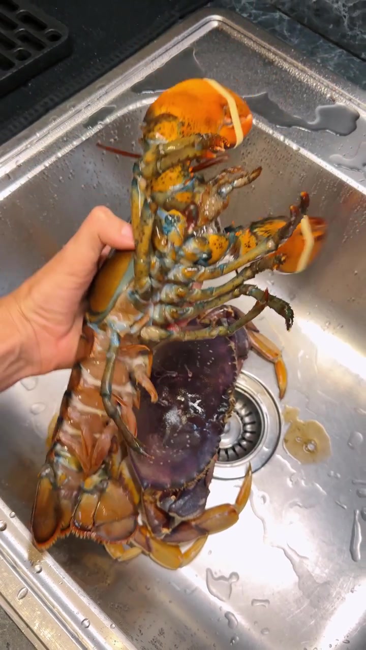 Fresh crab and lobster placed in stainless steel sink. Top angle shows raw seafood resting in a wet metal basin before food preparation.