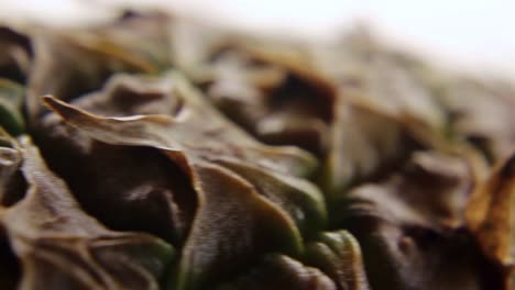 macro close-up of pineapple ananas on a white background-2