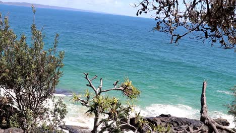 Waves-splashing-on-a-rocky-beach-and-coastal-plants-in-the-foreground