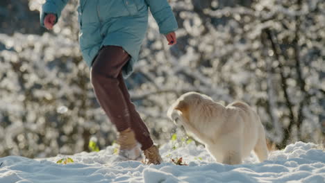 pet owner running in the snow with her dog, having a good time on a walk in the winter forest. slow motion video