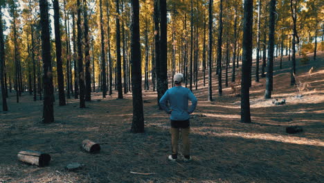 man standing in a recovering forest of canary island pines in gran canaria, appreciating the resilience of nature