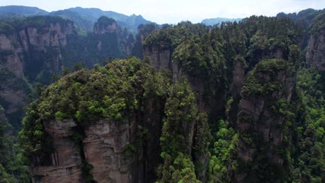 un dron volando hacia atrás revela un bosque exuberante en la cima de la montaña aleluya en yuanjiajie, parque forestal nacional de zhangjiajie, china