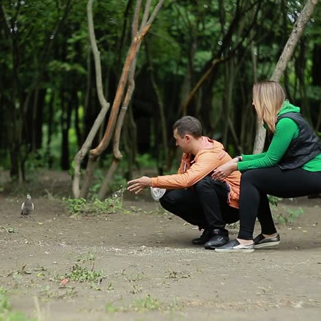 couple in love at nature park