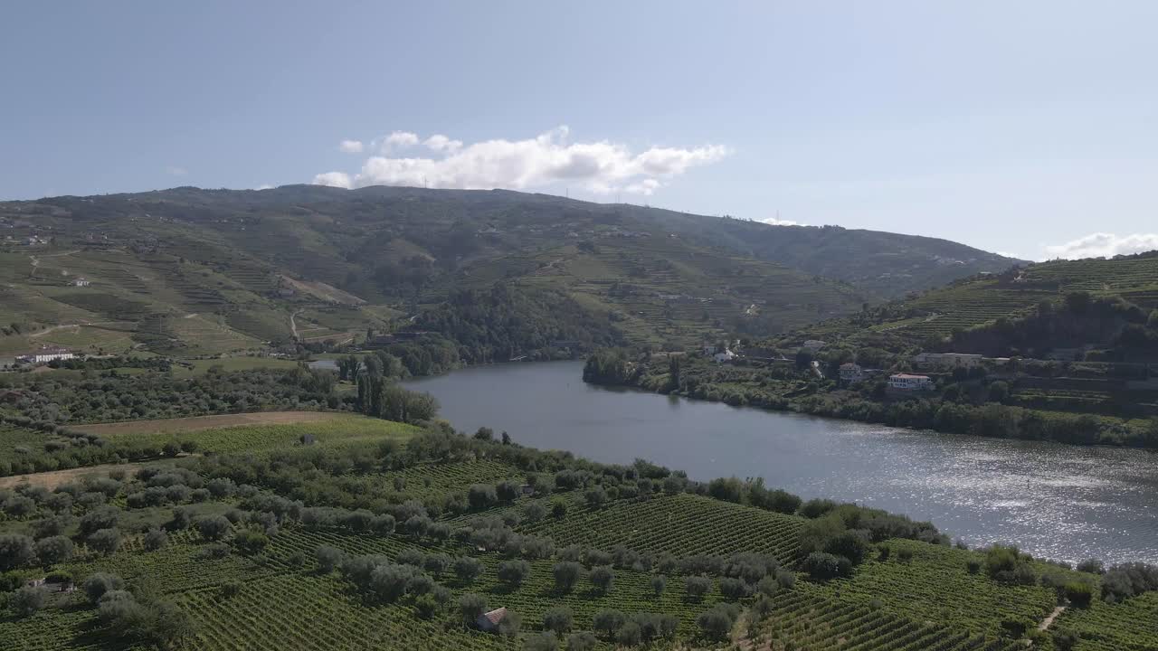 Vista aerea del fiume Douro a Lamego, Portogallo.