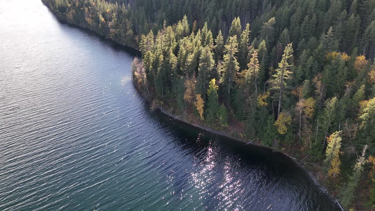 Bird's Eye Bliss: Dunn Lake's Aerial Dance with Autumn Colors