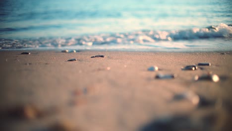 sandy beach with blurred background and foreground using a vintage lens