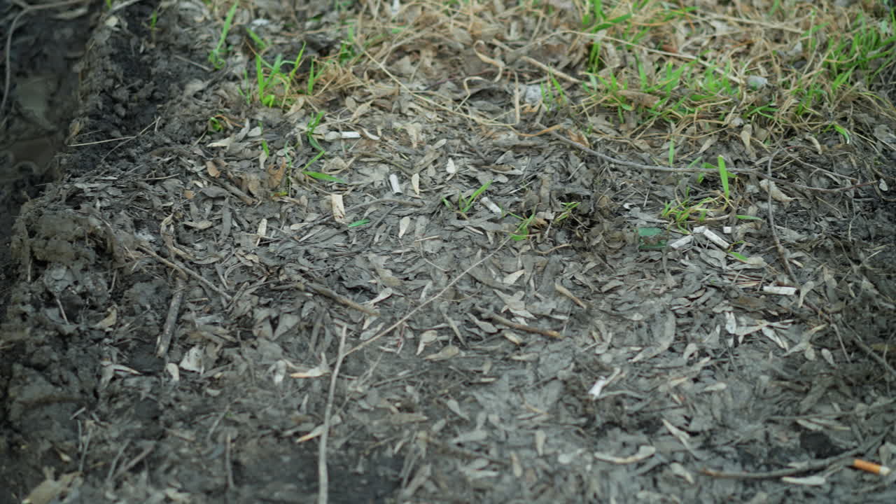 Close-up view of a muddy, leaf-covered ground with a shallow trench filled with rainwater