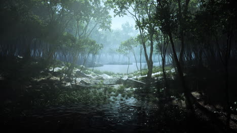 River-in-mysterious-forest-with-fog