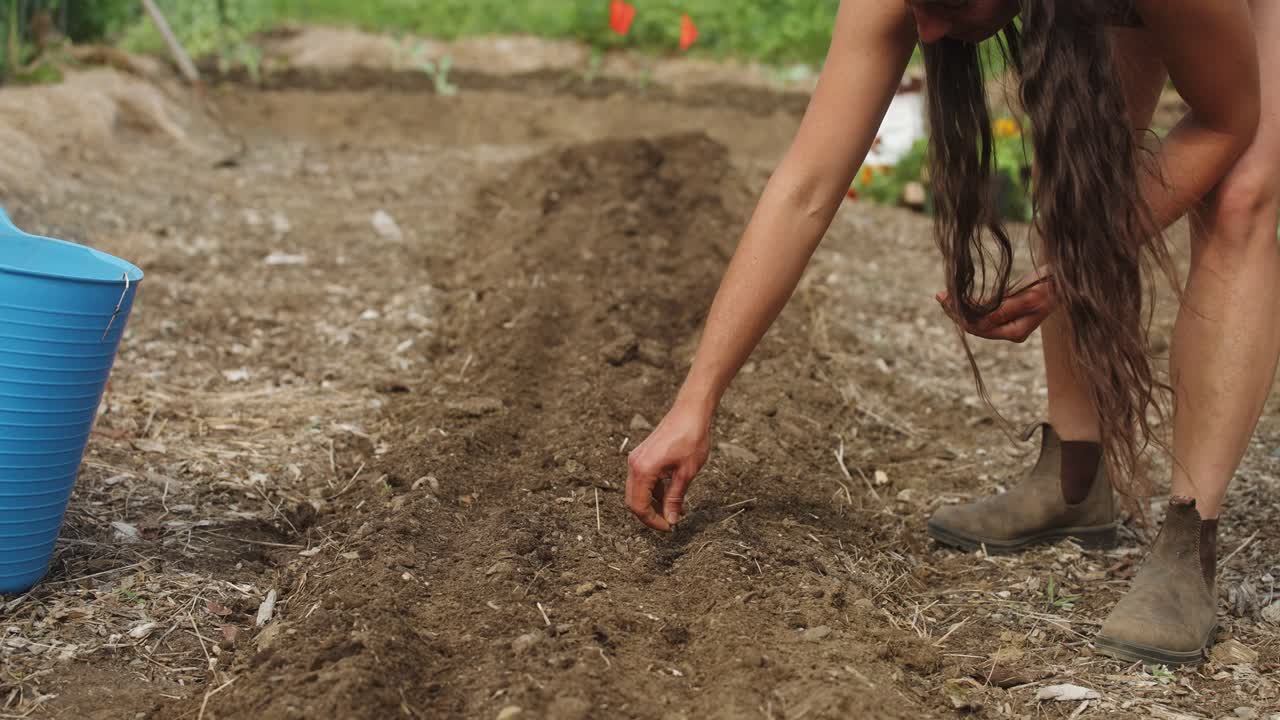 Female farmer planting rows of vegetable seeds at