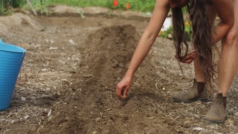 agricultora plantando fileiras de sementes de vegetais em