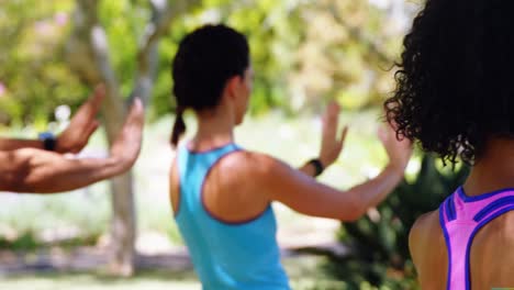 group of people exercising in the park 4k