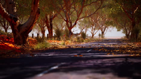 Offene-Straße-In-Australien-Mit-Buschbäumen