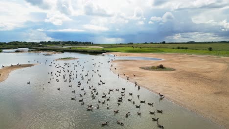 Aerial-video-footage-captures-the-saltwater-marshlands-along-the-Lincolnshire-coast,-featuring-seabirds-in-flight-and-on-the-lagoons-and-inland-lakes