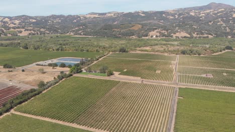 Vista-Aérea-Que-Muestra-La-Región-Vinícola-Del-Valle-De-Sonoma-En-Sonoma-California,-Estados-Unidos