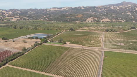 aerial view showing sonoma valley wine region in sonoma california, usa