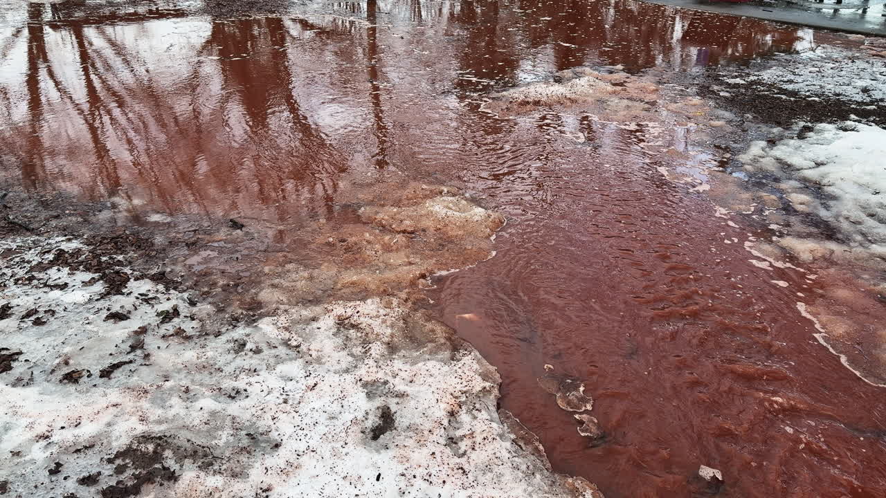 La primavera arriva così velocemente che lo scioglimento della neve marrone scorre sul sentiero del parco come un piccolo fiume, inondando il terreno e rivelando il primo, aspro volto della stagione.