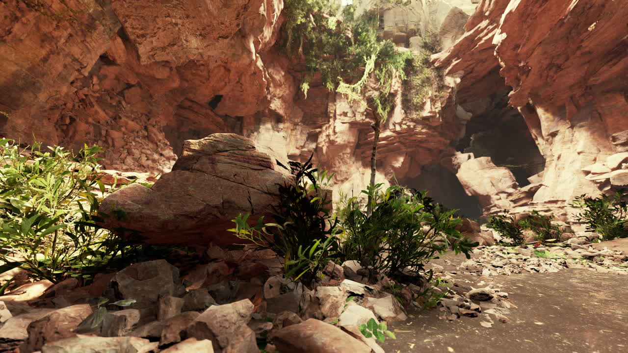The view inside Fairy Cave with plants