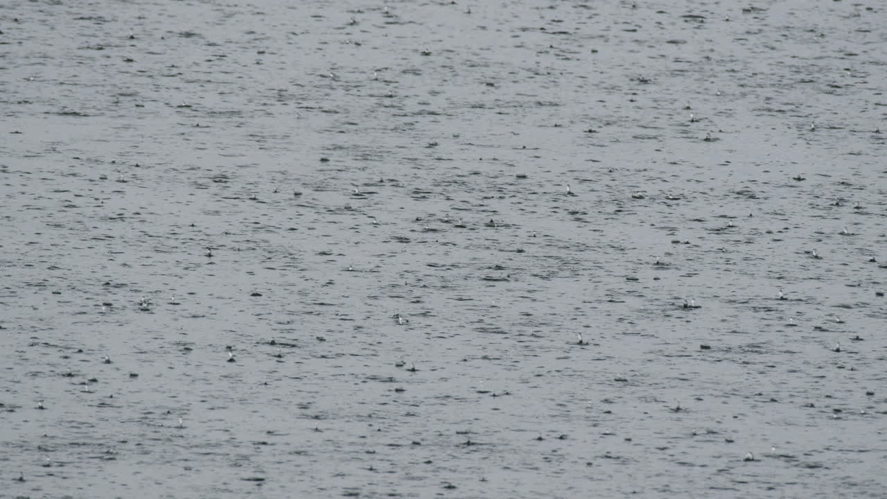 tiempo lluvioso sobre el lago con gotas de lluvia cayendo.