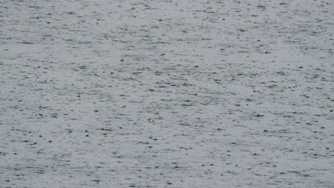 tiempo lluvioso sobre el lago con gotas de lluvia cayendo.