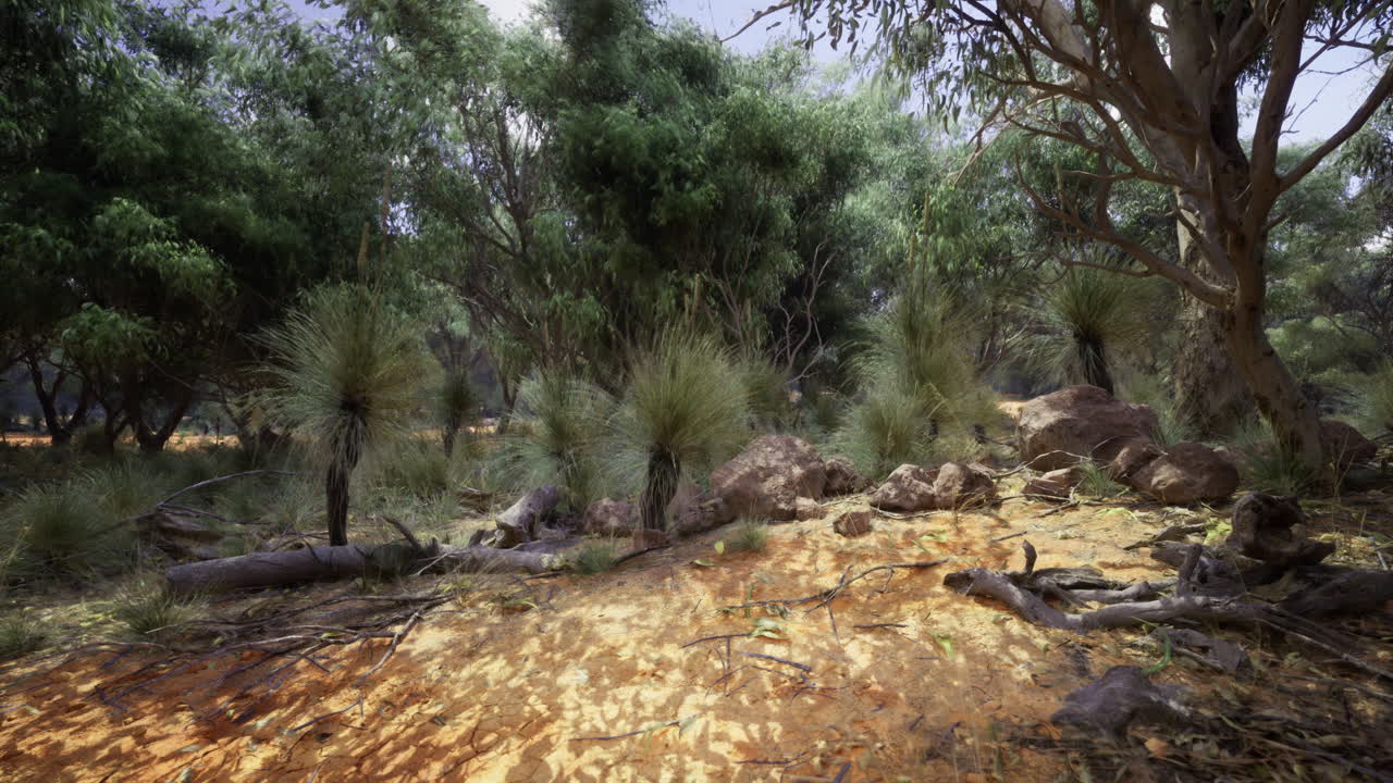 Paesaggio sereno di una foresta con vegetazione lussureggiante e luce solare che filtra tra gli alberi
