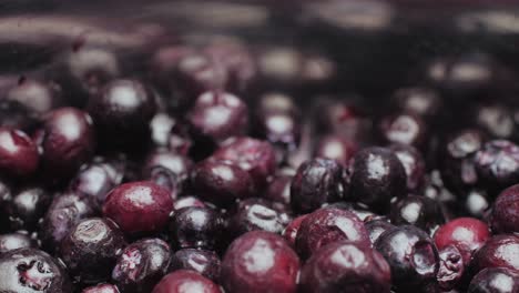 pile of blueberries