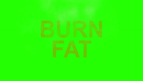 fuente de quema quemar grasa fuego palabra texto con llama y humo en chroma clave pantalla verde, concepto de dieta médica nutrición estilo de vida saludable
