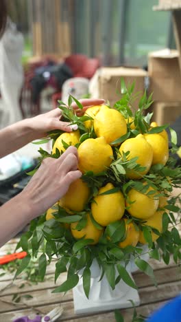 lemon arrangement