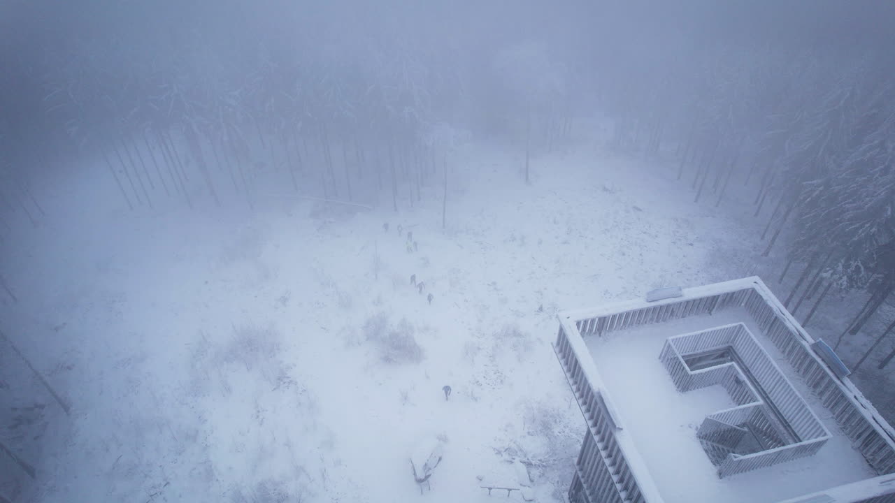 Aerial view of people coming to the lookout tower on a snow covered hill surrounded by coniferous trees during cold winter season