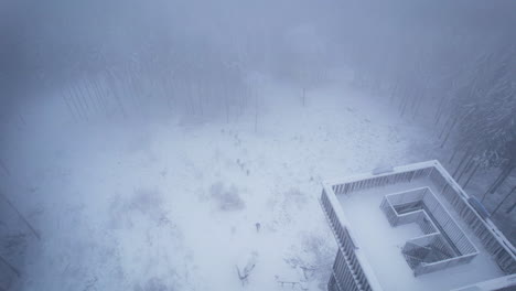 Aerial-view-of-people-coming-to-the-lookout-tower-on-a-snow-covered-hill-surrounded-by-coniferous-trees-during-cold-winter-season