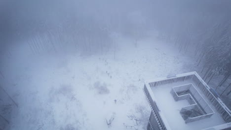 aerial view of people coming to the lookout tower on a snow covered hill surrounded by coniferous trees during cold winter season