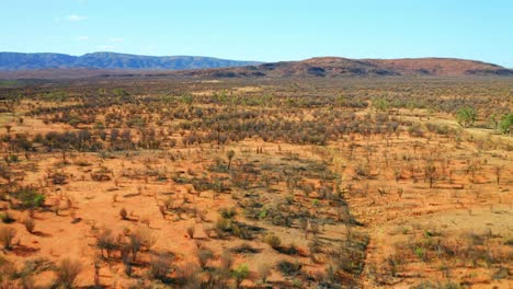 aerial view of west macdonnell national park in northern territory of australia near alice springs