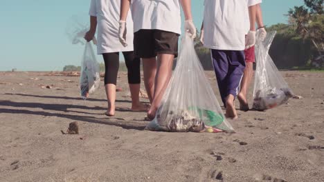 back view of group of ecological activists collecting trash from beach